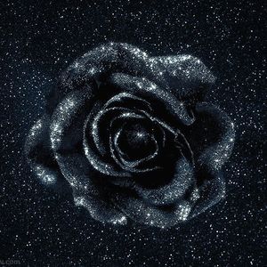 Meet your Posher, Mezohn